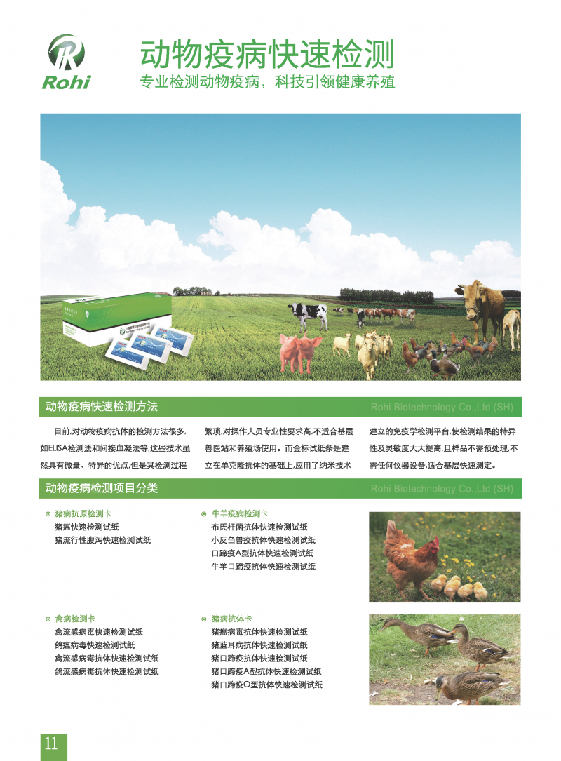 簡介：